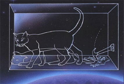 cat