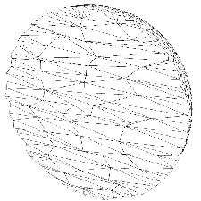 \scalebox{0.5}{\includegraphics{5ysphere3d5000.eps}}