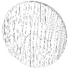 \scalebox{0.5}{\includegraphics{10zsphere3d5000.eps}}