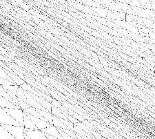 \scalebox{0.5}{\includegraphics{torusplanyams1010001.eps}}