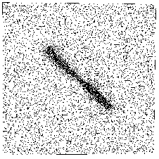 \includegraphics[width=5cm, clip]{b1}
