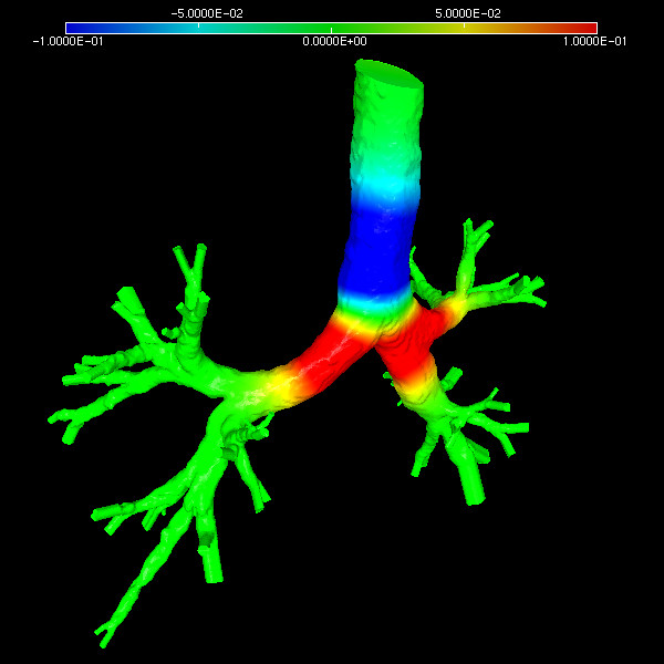 Lung diffrac