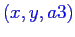\bgroup\color{blue}$(x, y, a3)$\egroup
