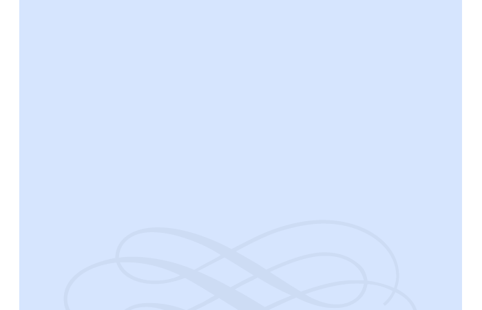 Curriculum vitae lions picture