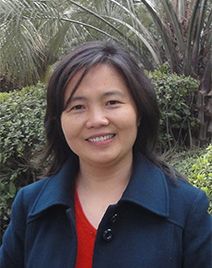 Dongmei Xiao
                          